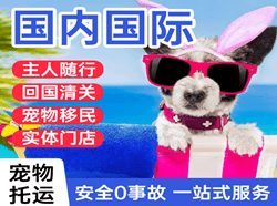 普陀山航空货运国际宠物托运 【国